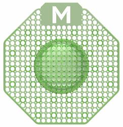 Scented Enzyme Block Urinal Screen - Green, Cucumber Melon Pack 10 - Matthews