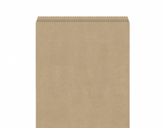 Brown Paper Bags #5 Flat 235 x 260 - Castaway