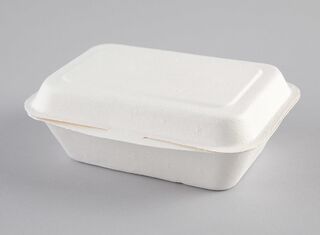 Enviroware 500ml Hinged Container - Coastal